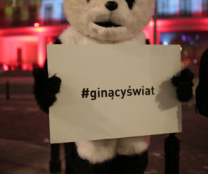 Niezwykły pokaz w centrum Warszawy. #‎StartWith1Thing. RACING EXTINCTION – GINĄCY ŚWIAT