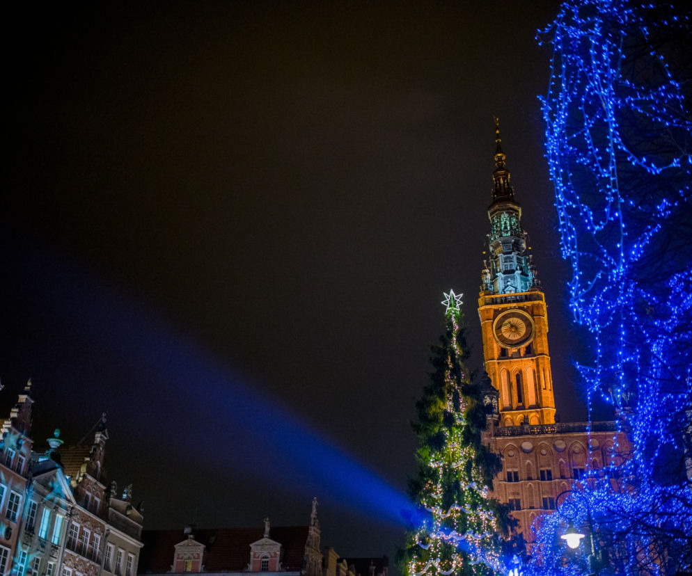 Sznury ledowych iluminacji pojawią się m.in. na drzewach i budynkach.
