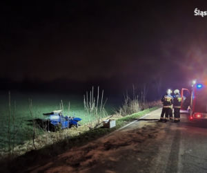 Mikołów. 20-latek roztrzaskał się fiatem na drzewie [ZDJĘCIA]