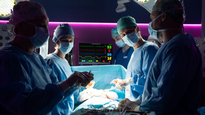 Na dobre i na złe odc. 983. Maks Beger (Tomasz Ciachorowski),  Kamil Zawada (Jakub Łopatka), Gloria (Aleksandra Grabowska)