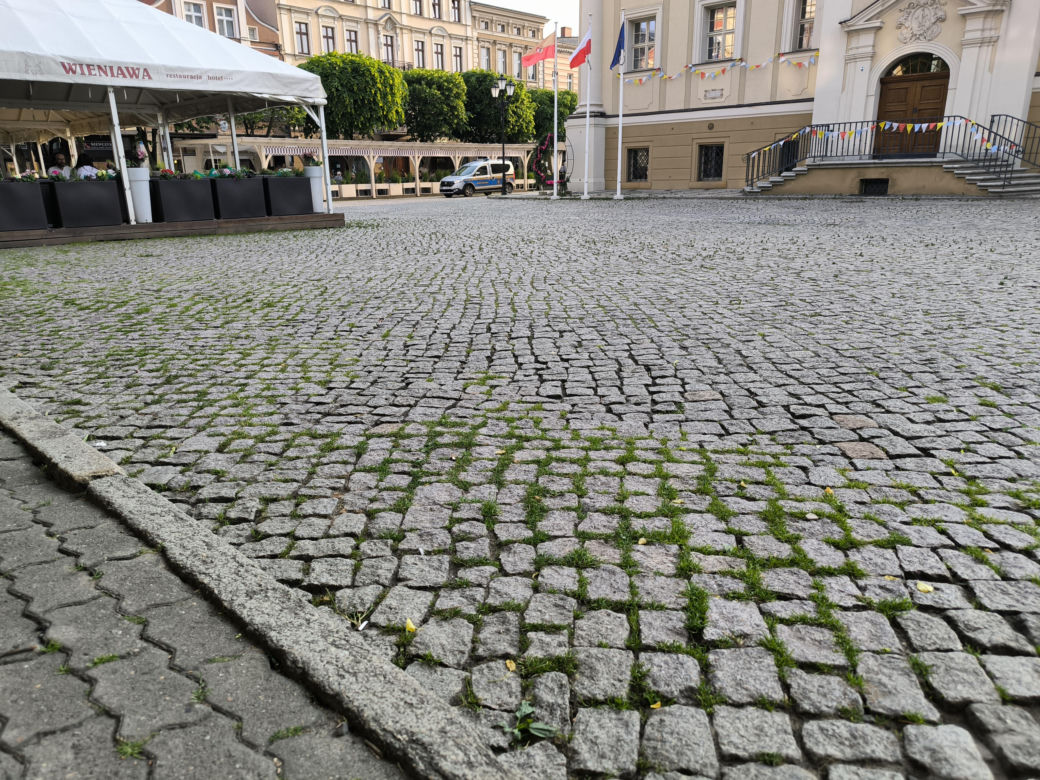 Rynek w Lesznie