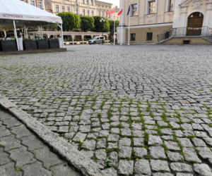 Rynek w Lesznie