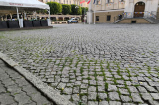 Rynek w Lesznie