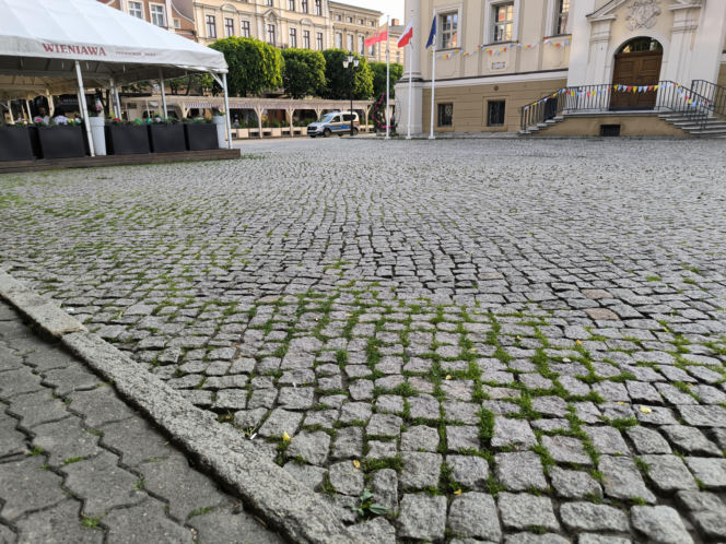 Rynek w Lesznie