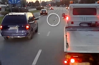Mały jeż omal nie zginął na warszawskiej ulicy. Uratowała go błyskawiczna reakcja kierowcy [WIDEO]