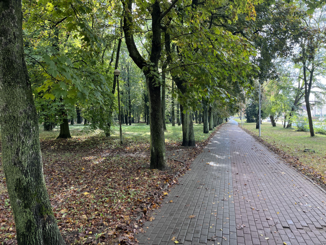 Park Kopernika w Gorzowie w jesiennej scenerii