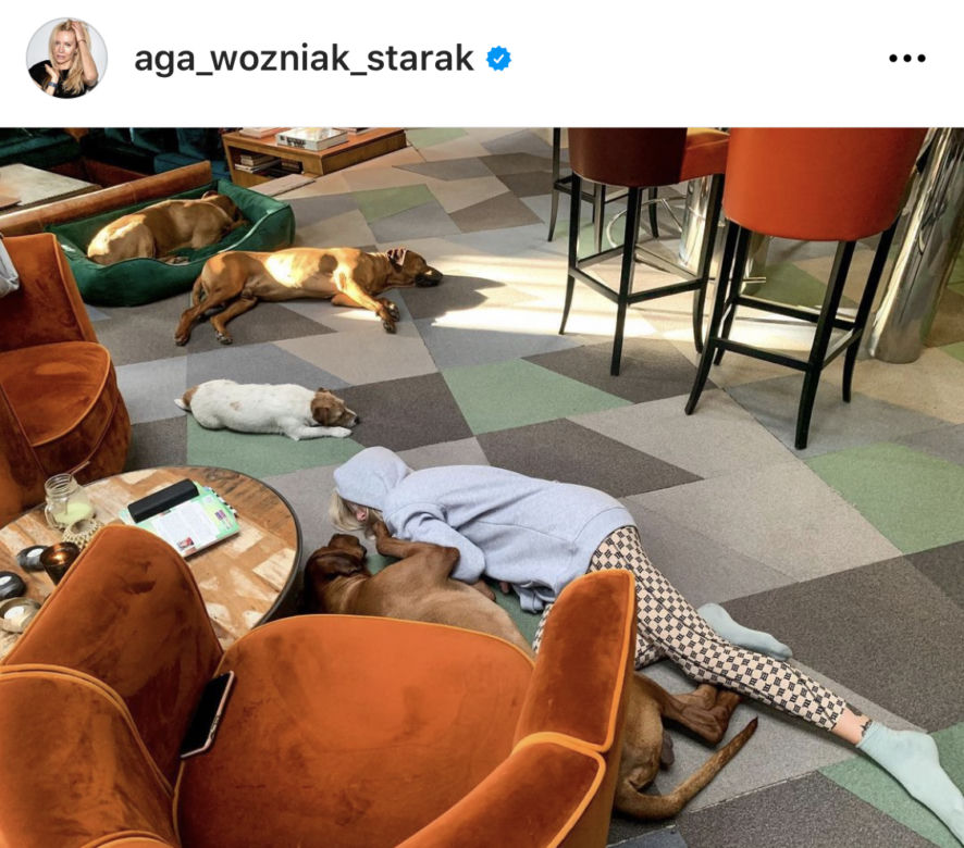 Bestie zniszczyły jej dom