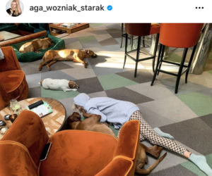 Bestie zniszczyły jej dom