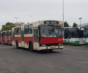Szczecinianie świętują jubileusz komunikacji miejskiej