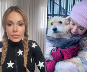 Koniec heroizmu Dody? Artystka mówi dość po dramatycznych wizytach w schroniskach