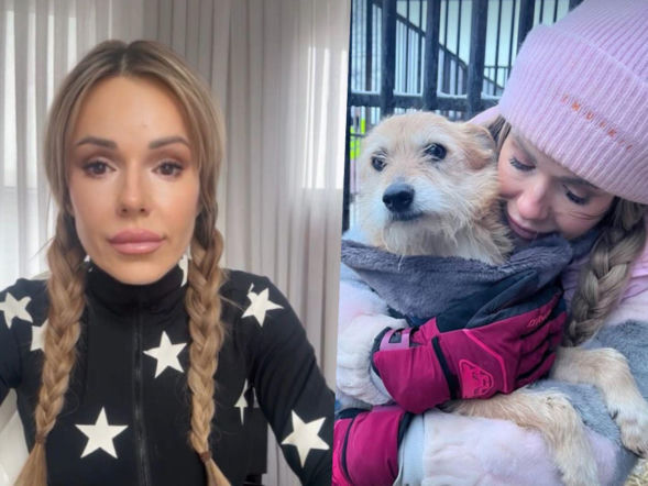 Koniec heroizmu Dody? Artystka mówi dość po dramatycznych wizytach w schroniskach