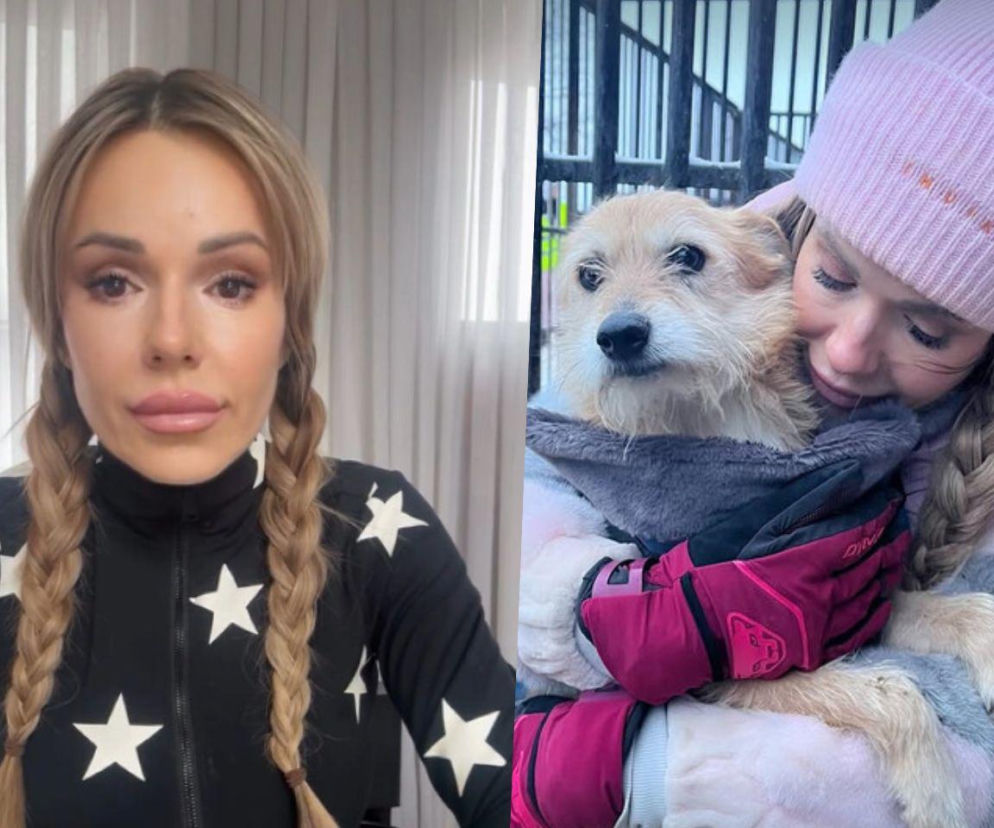 Koniec heroizmu Dody? Artystka mówi dość po dramatycznych wizytach w schroniskach