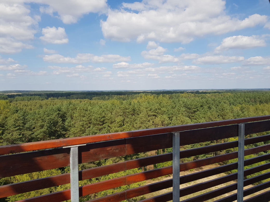 Wieża widokowa w Uhowie. To najwyższa wieża na Podlasiu [ZDJĘCIA]