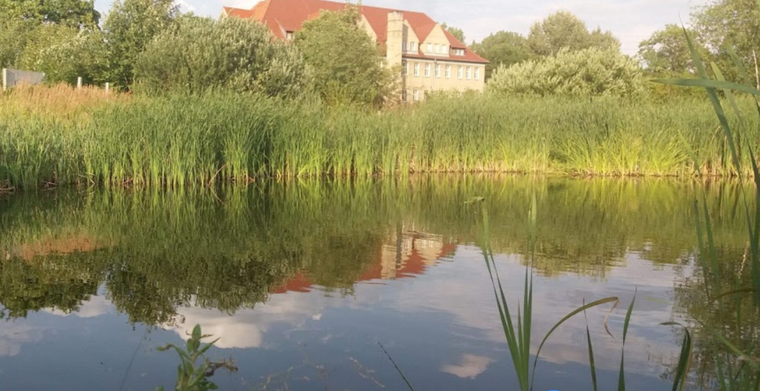  Liceum Ogólnokształcące w Świebodzinie