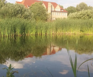 Liceum Ogólnokształcące w Świebodzinie