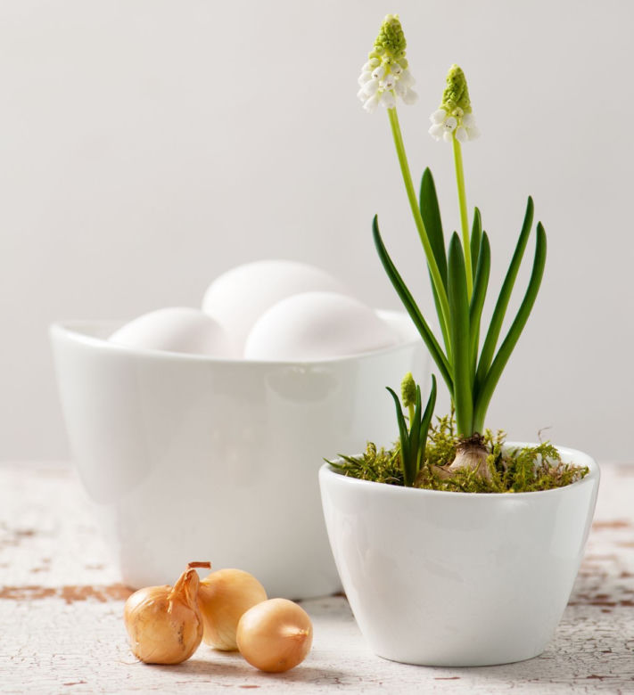 ThinkstockPhotos-468116452.jpg