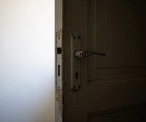 Doda bez ogródek o schroniskach. Czy tak wygląda biznes na bezdomności zwierząt?