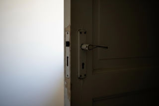 Doda bez ogródek o schroniskach. Czy tak wygląda biznes na bezdomności zwierząt?