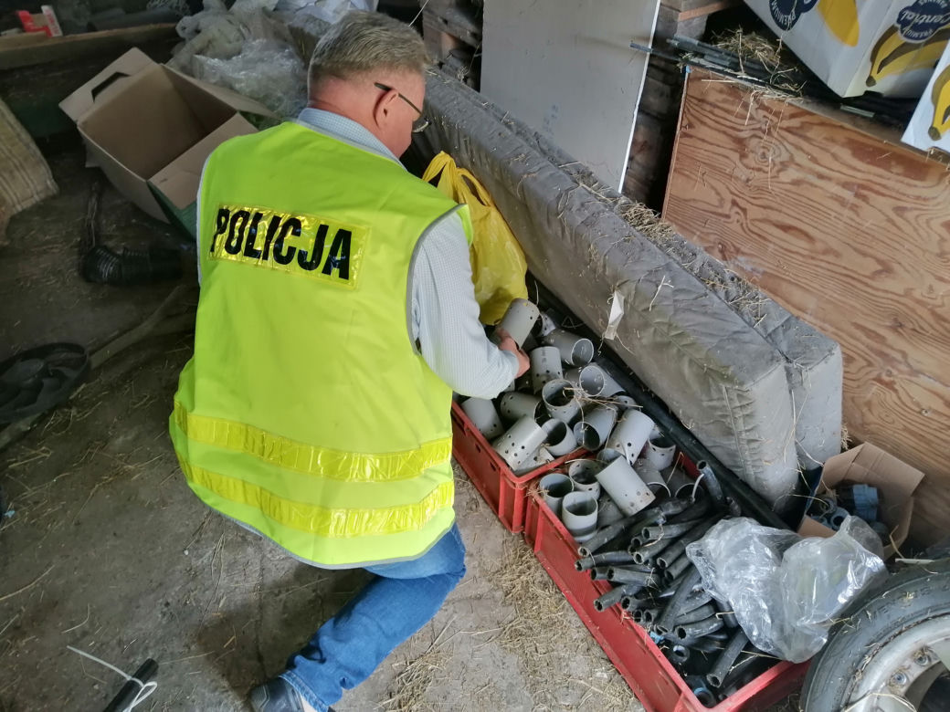 Łódzkie: Miały rosnąć pomidory, rosła MARIHUANA! 63-latek miał FABRYKĘ narkotyków 
