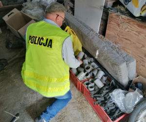 Łódzkie: Miały rosnąć pomidory, rosła MARIHUANA! 63-latek miał FABRYKĘ narkotyków 