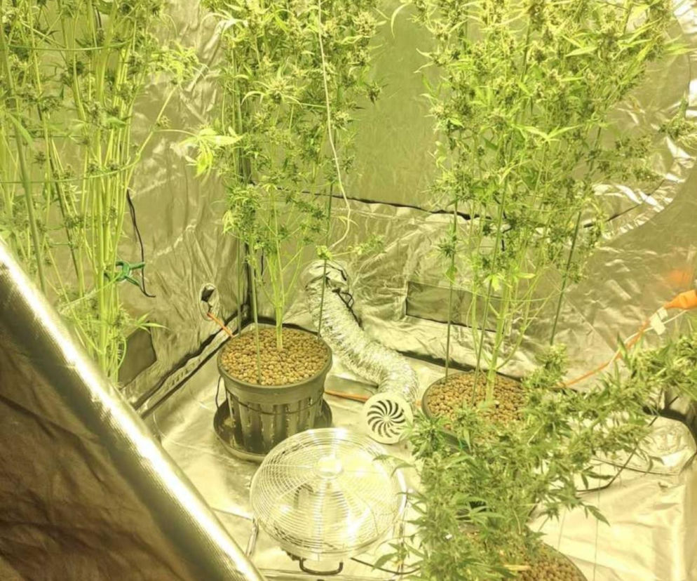 Policja z Bielska-Białej przejęła ponad 5 kg narkotyków