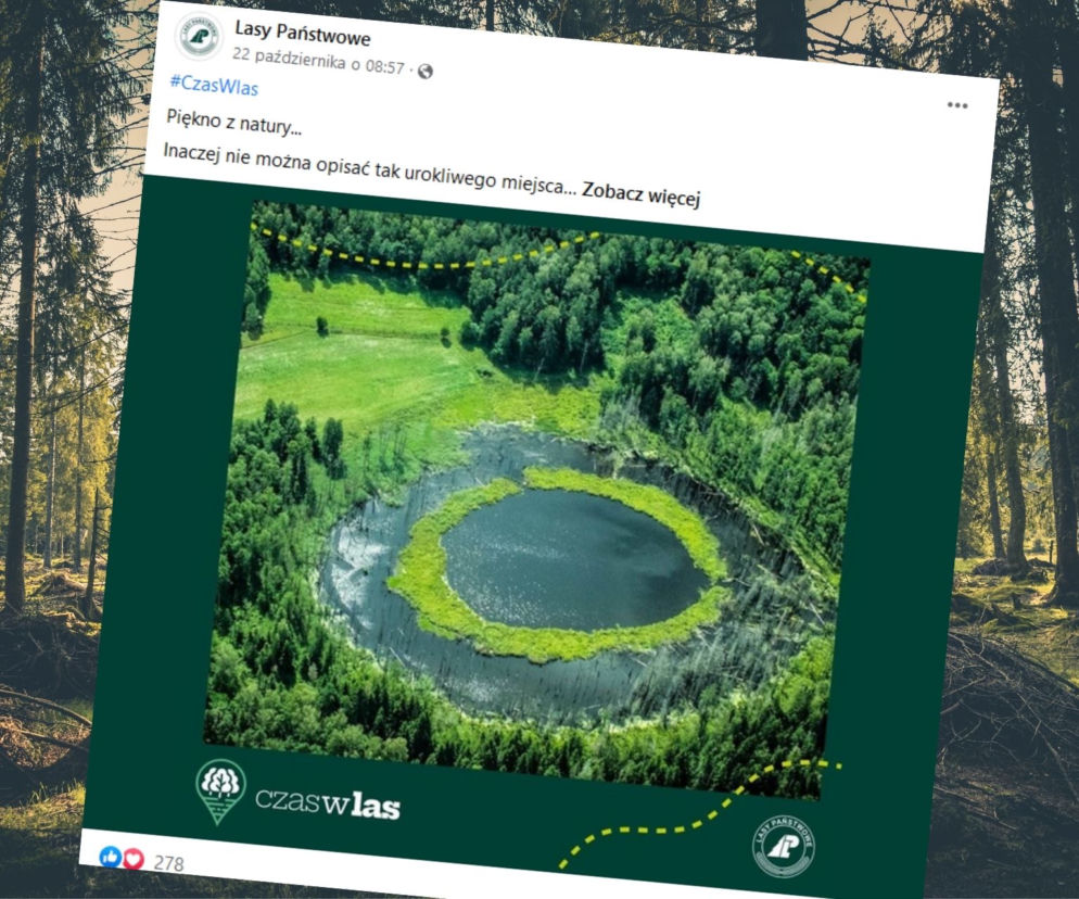 Tajemniczy ZIELONY OKRĄG na jeziorku bez nazwy. Leśnicy opublikowali zagadkowe zdjęcie