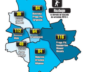 Warszawa - rozboje (okres od stycznia do września 2013 r.)