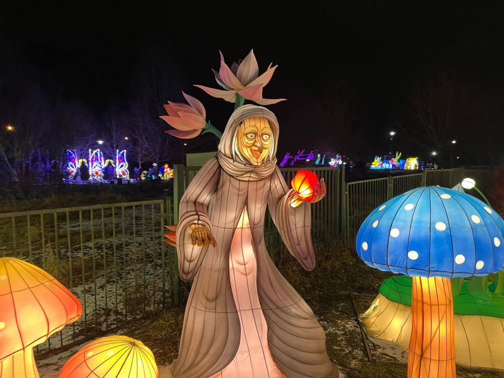 Garden of Lights w Szczecinie