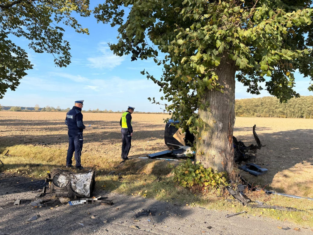 Poważny wypadek w powiecie gostyńskim. Kierowca uderzył autem w drzewo