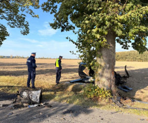 Poważny wypadek w powiecie gostyńskim. Kierowca uderzył autem w drzewo