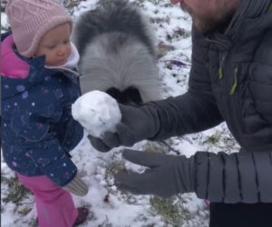 Antoni Królikowski bawi się z córką na śniegu