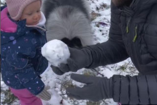 Antoni Królikowski bawi się z córką na śniegu