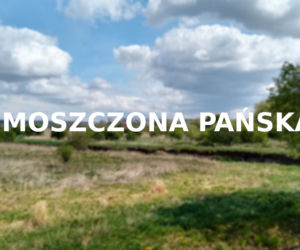 Moszczona Pańska