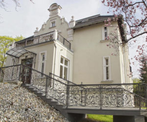 Posłanka kierowała mafią ciążową