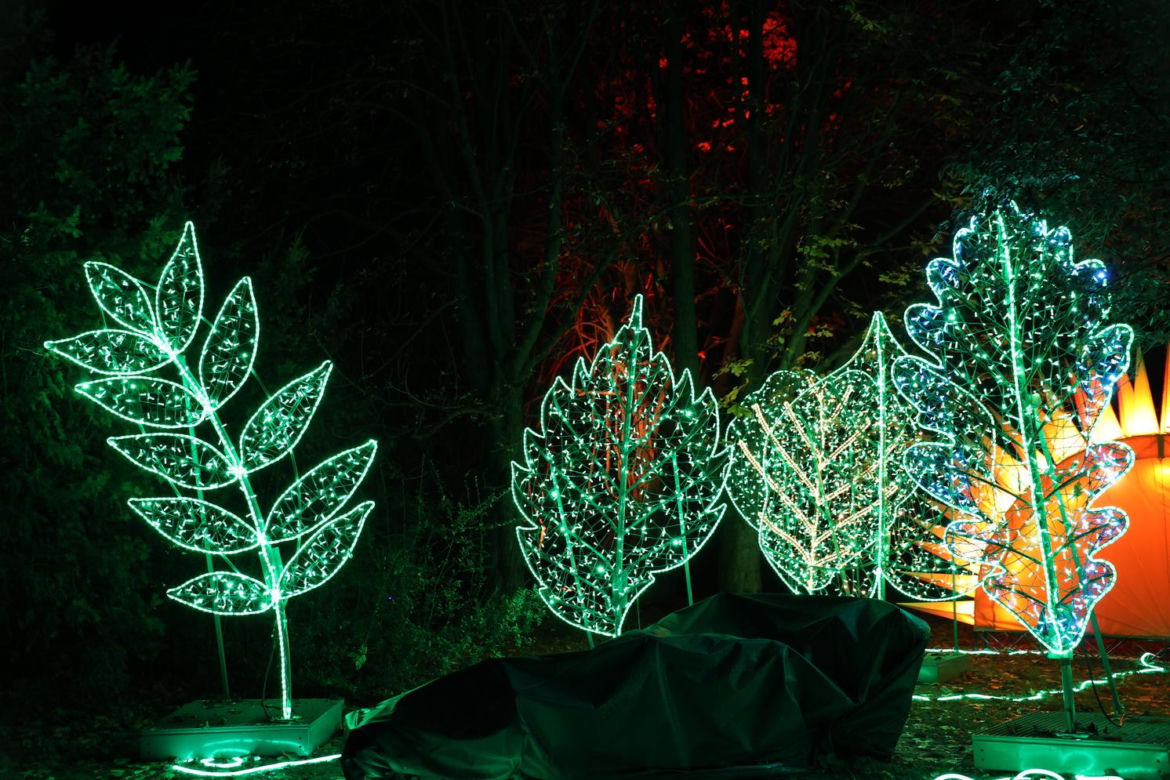 Lumina Park 2023 w Lublinie