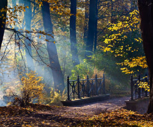 Pszczyna: Park Zamkowy