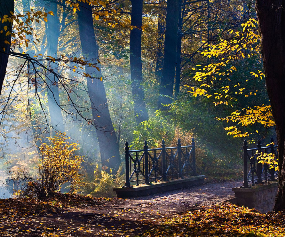 Pszczyna: Park Zamkowy