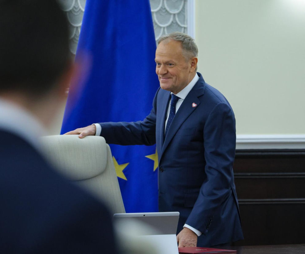 I co ci psy zawiniły? Premier Tusk grzmi po wecie prezydenta w sprawie ochrony zwierząt