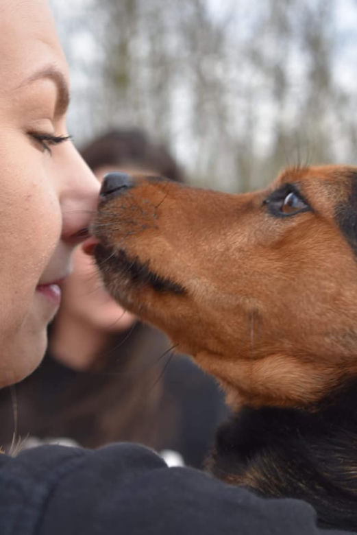 Dziewczyny z Torcida Girls zorganizowały zbiórkę na schronisko dla zwierząt. Zachęcaja wszystkich do pomocy [ZDJĘCIA]