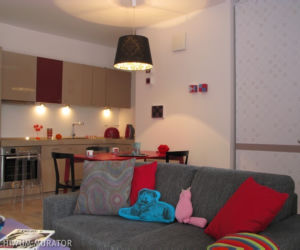 kuchnia i salon