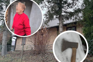 Podkarpackie. Sąsiadki kłócą się od 47 lat o 3 metry działki. W ruch poszła siekiera!  [WIDEO, GALERIA]