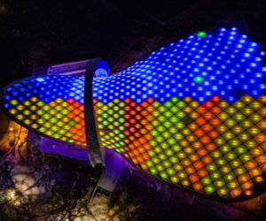 Spektakularna iluminacja Teatru Letniego w Szczecinie