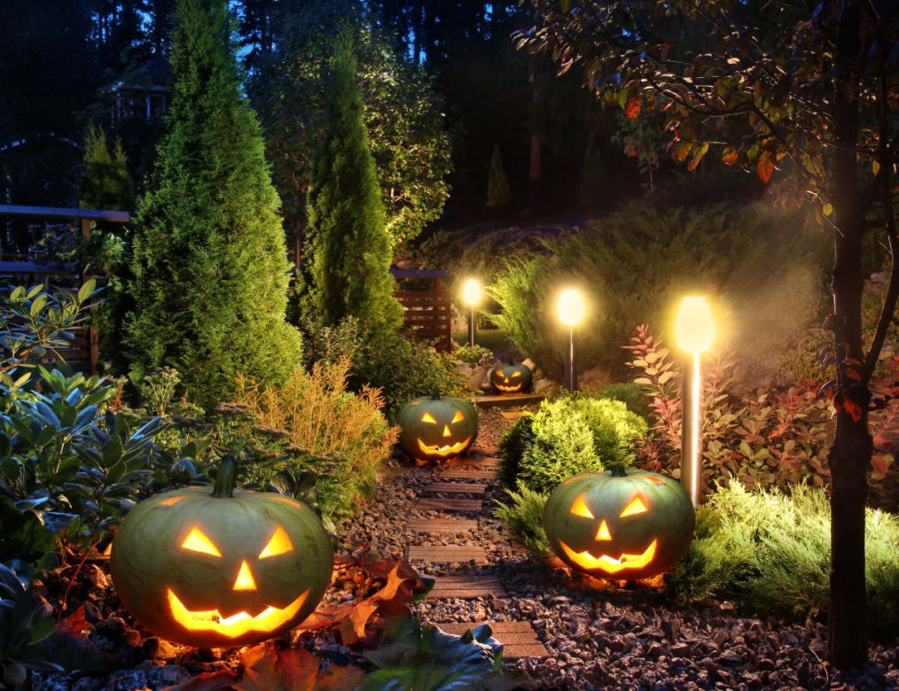 Dekoracje z dyni na Halloween