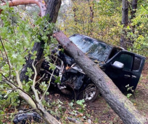 Groźny wypadek w Więcborku! Samochód wypadł z drogi i zatrzymał się na drzewie!