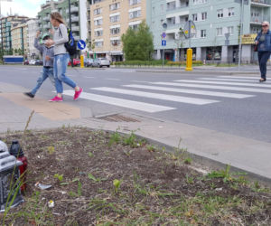 Przejście dla pieszych w alei KEN przy ul. Telekiego. Czarny punkt na mapie Warszawy