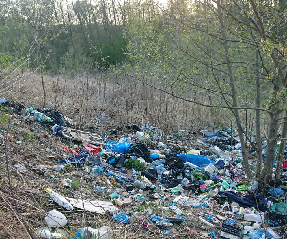 Nielegalne wysypisko przy trakcie spacerowym w okolicach ulicy Srebrnej