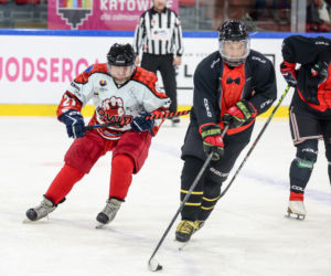 Mecz hokejowy Reprezentacji Artystów Polskich i Przedsiębiorców