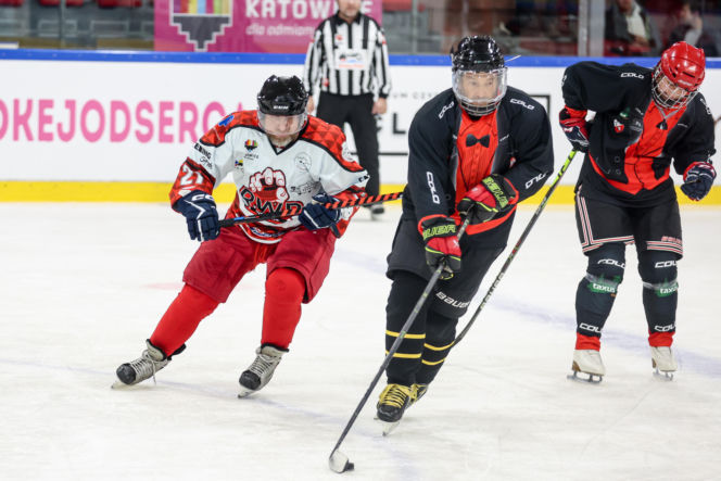 Mecz hokejowy Reprezentacji Artystów Polskich i Przedsiębiorców