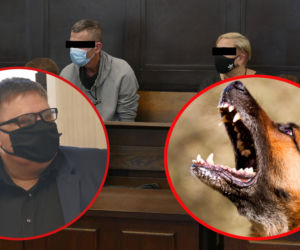 Proces małżeństwa oskarżonego o spowodowanie ciężkich obrażeń ciała po ataku psów