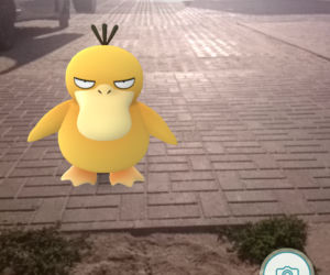 Pokemony opanowały Lublin